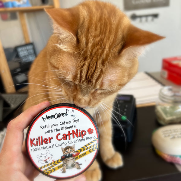 Killer Catnip Refill Tin - Organic US Catnip & Silver Vine 20grams MrsCopyCat