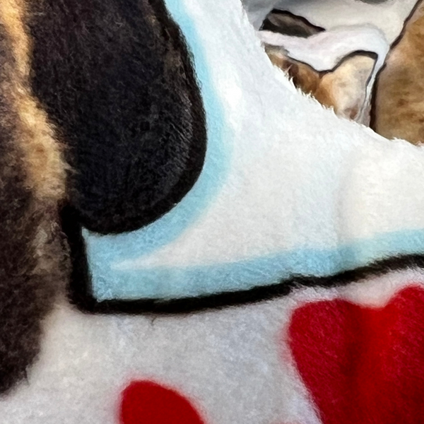 Custom Pet Photo Pillow - Handmade in USA