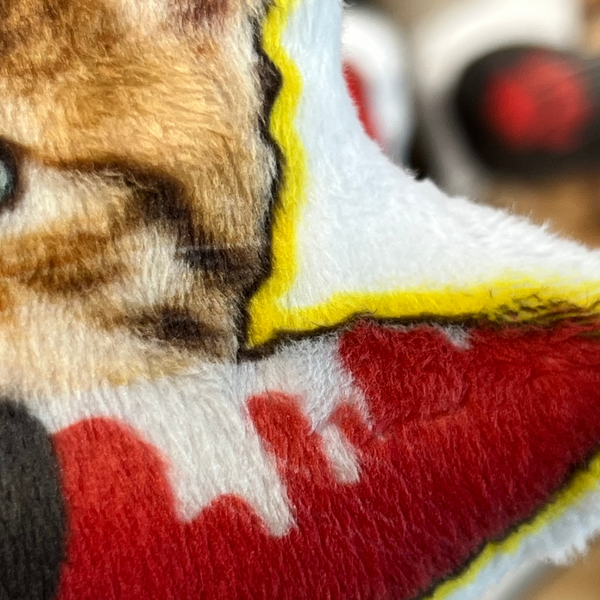 Custom Pet Photo Pillow - Handmade in USA