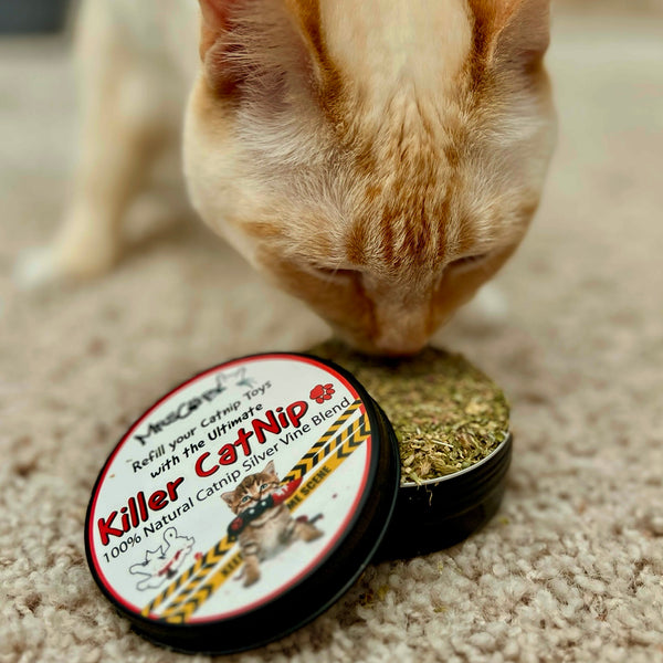 Killer Catnip⢠Refill Tin - Organic US Catnip & Silver Vine