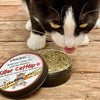 Killer Catnip⢠Refill Tin - Organic US Catnip & Silver Vine