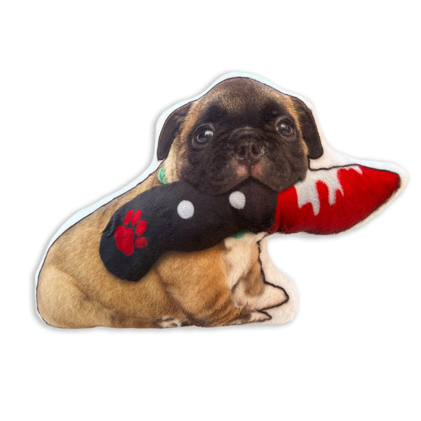 Custom Pet Photo Pillow - Handmade in USA