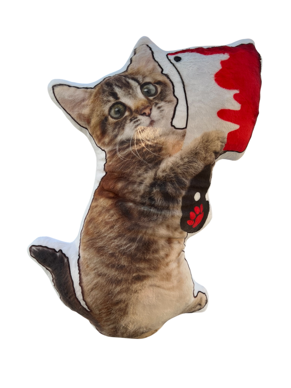 Custom Pet Photo Pillow