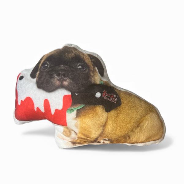 Spooky Halloween Pet Plushies