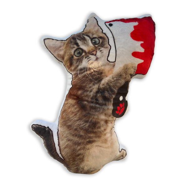 Custom Pet Photo Pillow - Handmade in USA