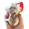 Custom Pet Photo Pillow