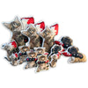 Custom Pet Photo Pillow