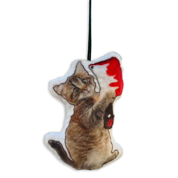 Custom Pet Photo Pillow - Handmade in USA