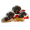 Custom Pet Photo Pillow