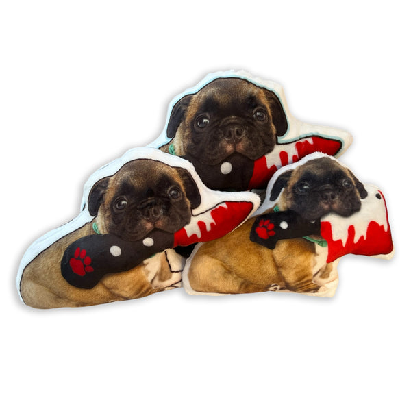 Custom Pet Photo Pillow