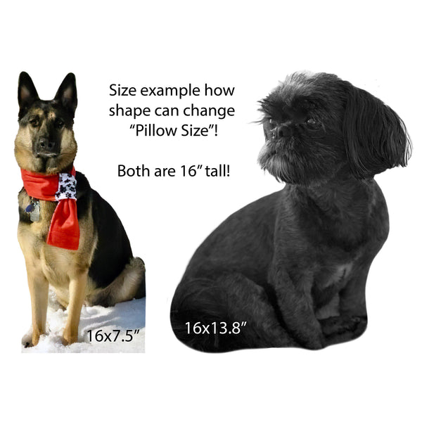 Custom Pet Photo Pillow MrsCopyCat