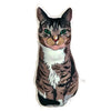Custom Cat Cartoon Drawing Pillow MrsCopyCat