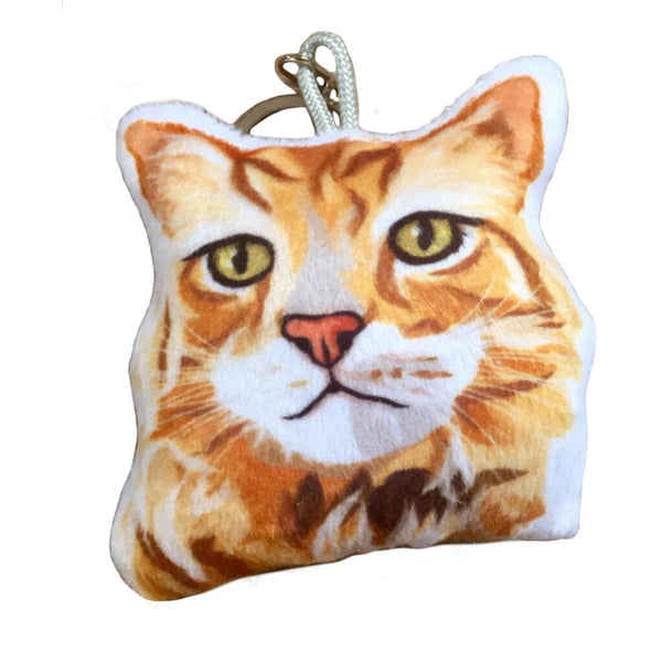 Maine Coon Cat Pillow GUS MrsCopyCat