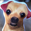 Chihuahua Plush Toy Pillow NUGGET MrsCopyCat