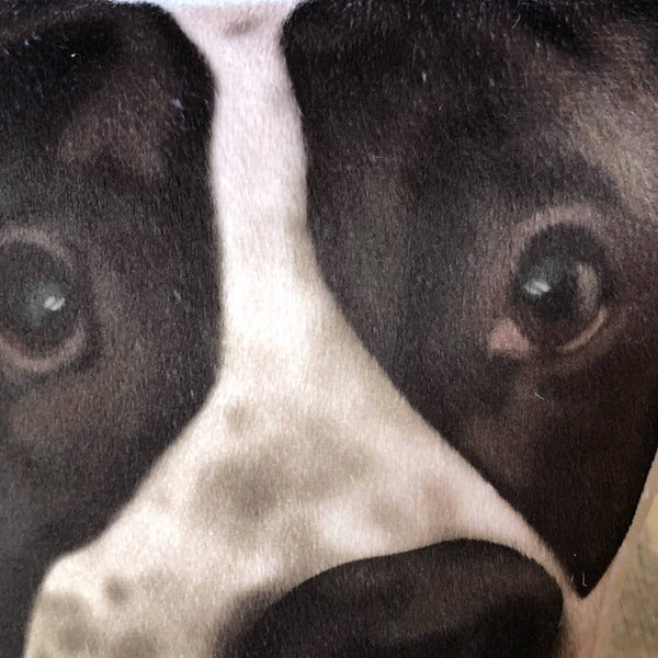 Pitbull Plush Toy Pillow BUTCH MrsCopyCat