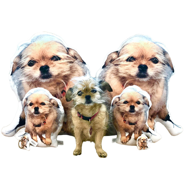 Custom Pet Photo Pillow MrsCopyCat
