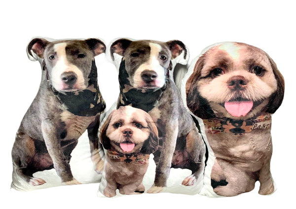 Custom Pet Photo Pillow MrsCopyCat