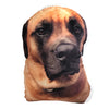Custom Pet Photo Pillow MrsCopyCat