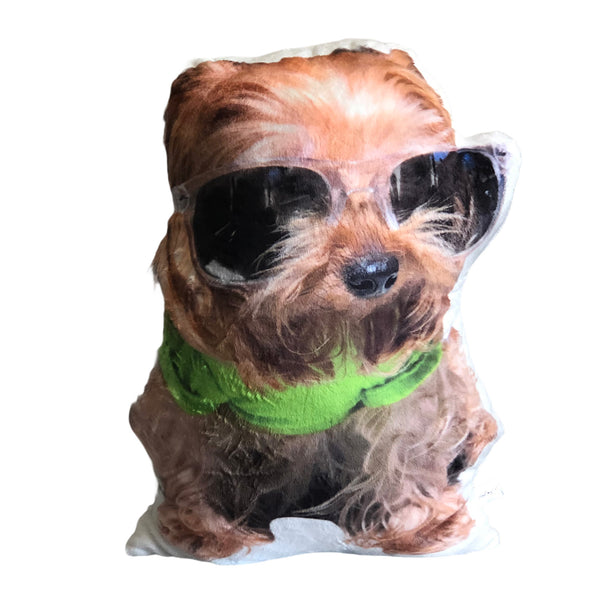 Custom Pet Photo Pillow MrsCopyCat