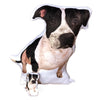 Pitbull Plush Toy Pillow BUTCH MrsCopyCat