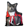 Vampire Cat Plush Toy Pillow RAVIOLI MrsCopyCat