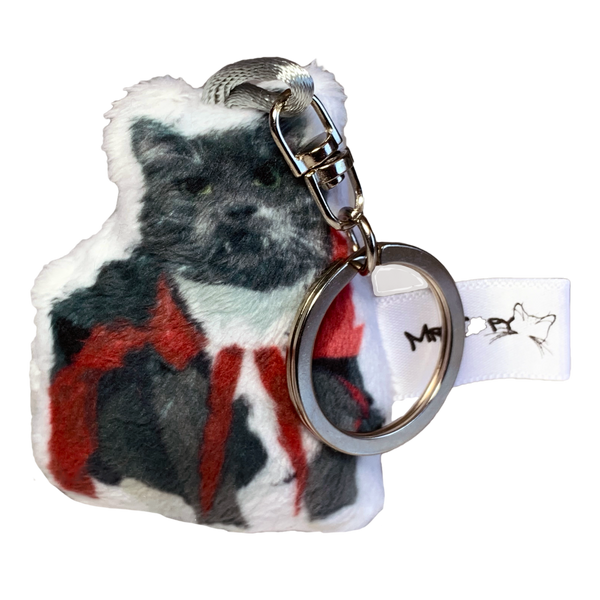 Vampire Cat Plush Toy Pillow RAVIOLI MrsCopyCat