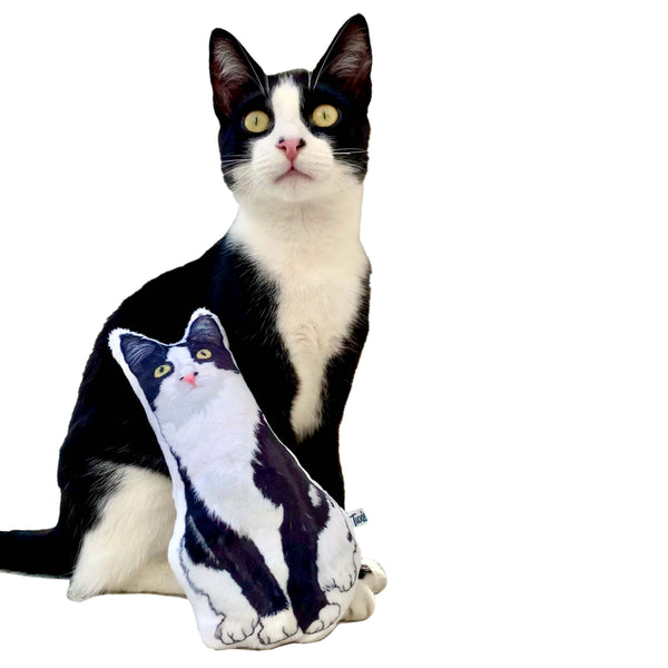 Custom Cat Cartoon Drawing Pillow MrsCopyCat